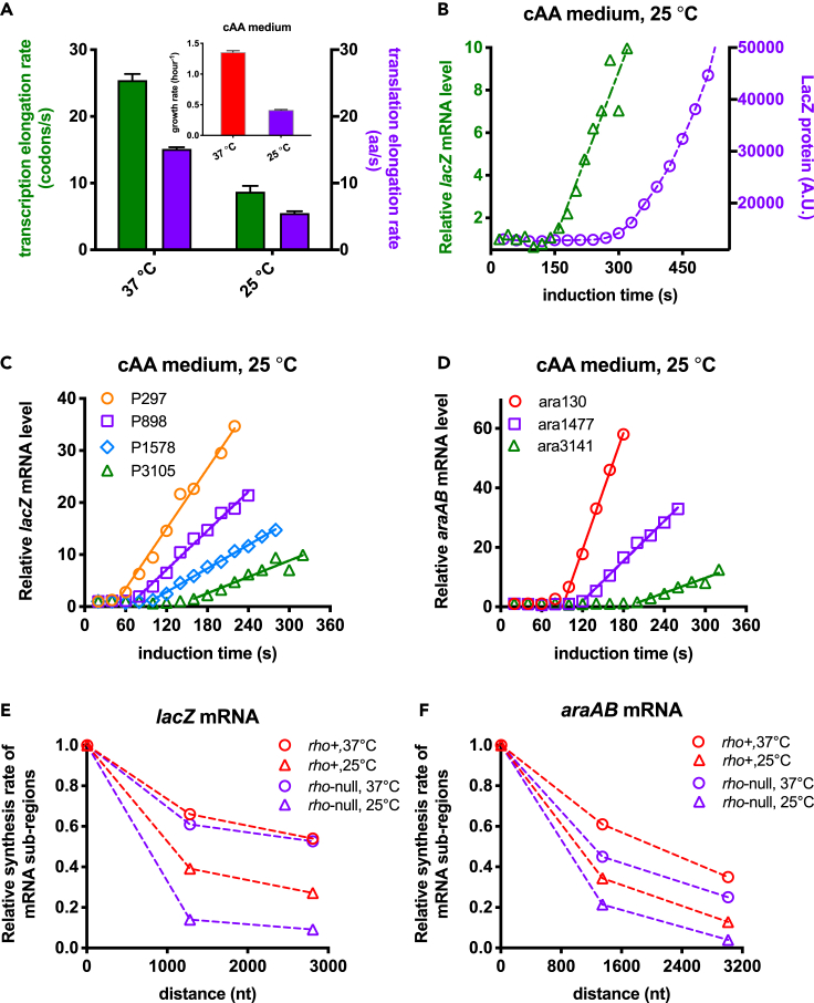 Figure 4