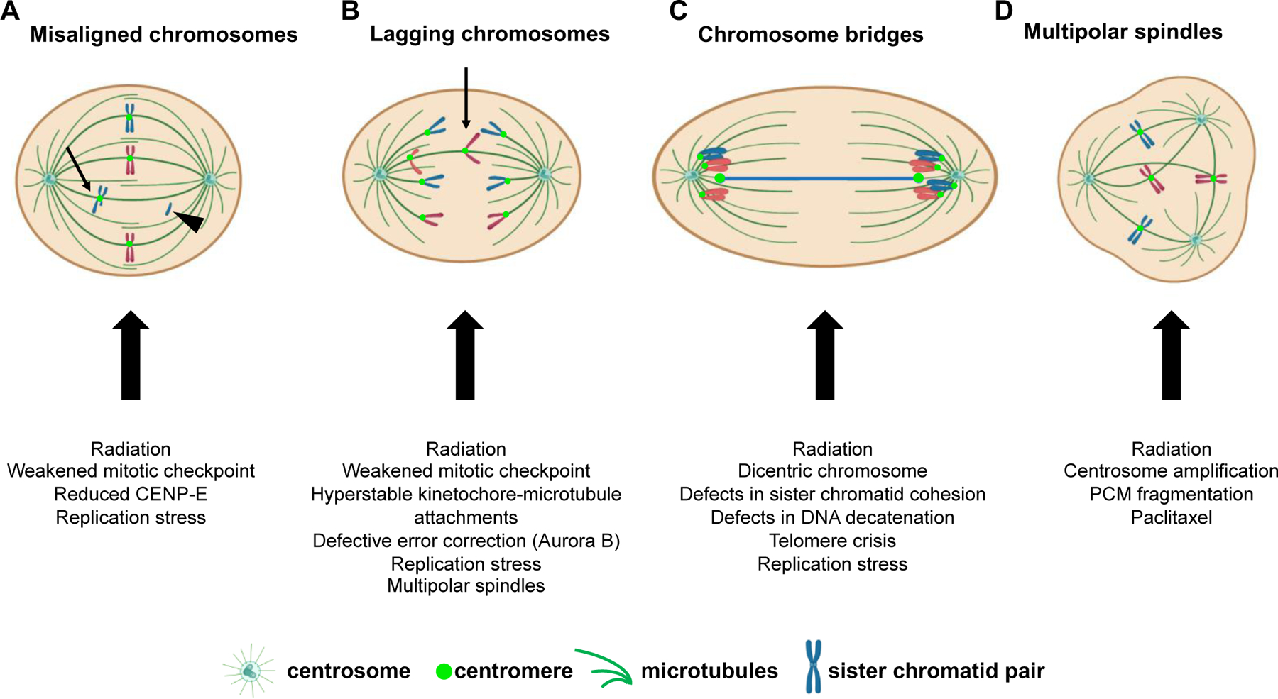 Figure 2: