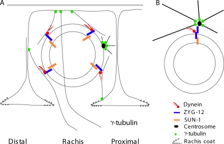 Figure 9.