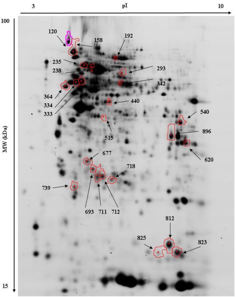 Fig 1