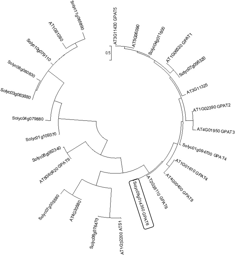 Figure 2.