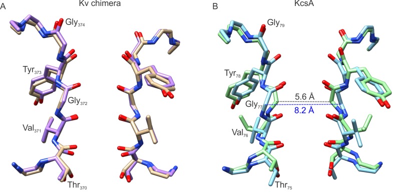 Figure 5—figure supplement 1.