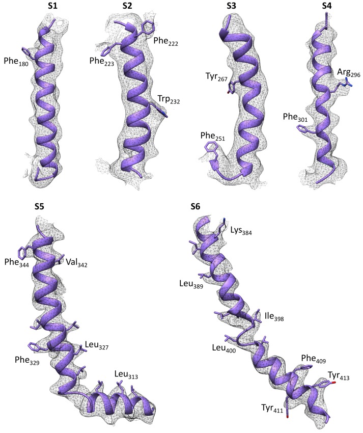 Figure 3—figure supplement 3.