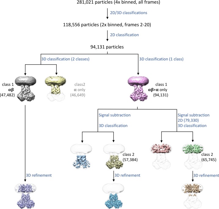 Figure 2—figure supplement 1.