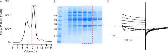 Figure 1—figure supplement 1.