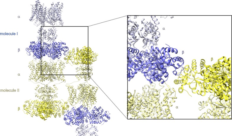 Figure 3—figure supplement 2.