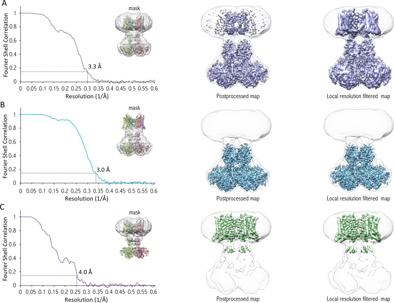 Figure 2—figure supplement 2.