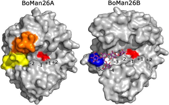 Figure 7.