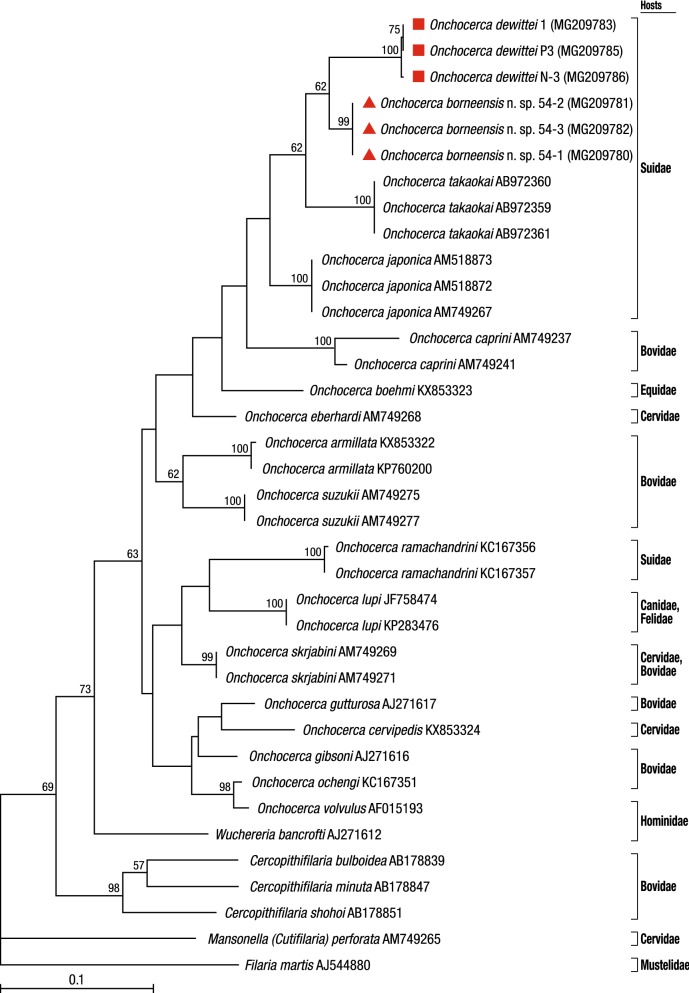 Fig. 3