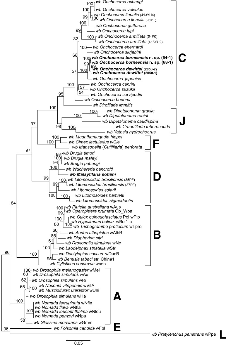 Fig. 6