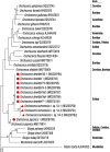 Fig. 4