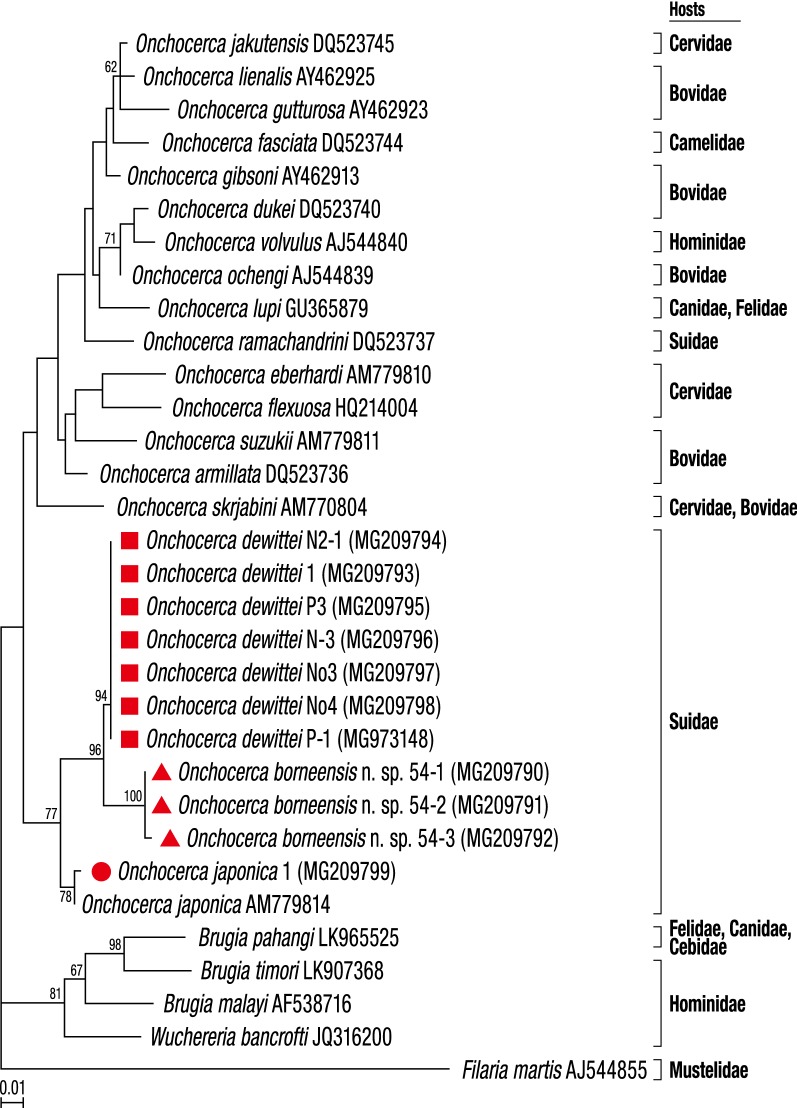 Fig. 4