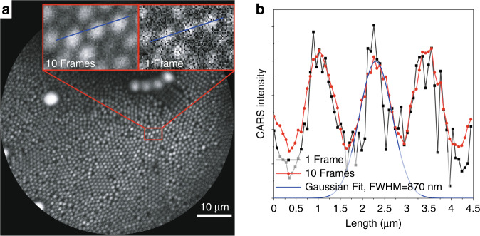 Fig. 4