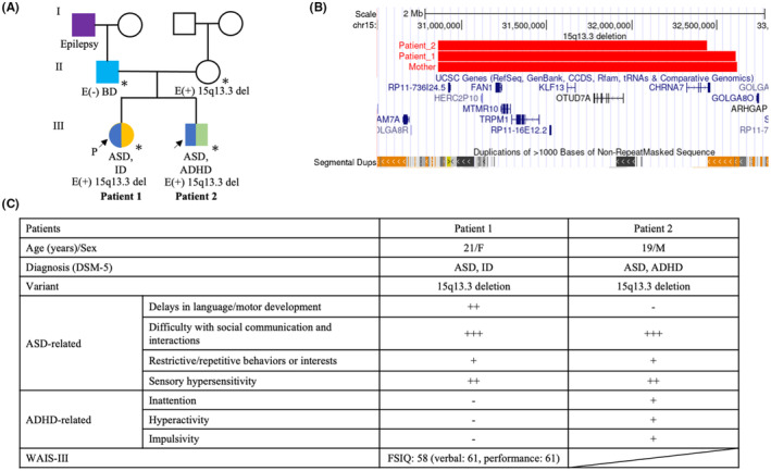 FIGURE 1