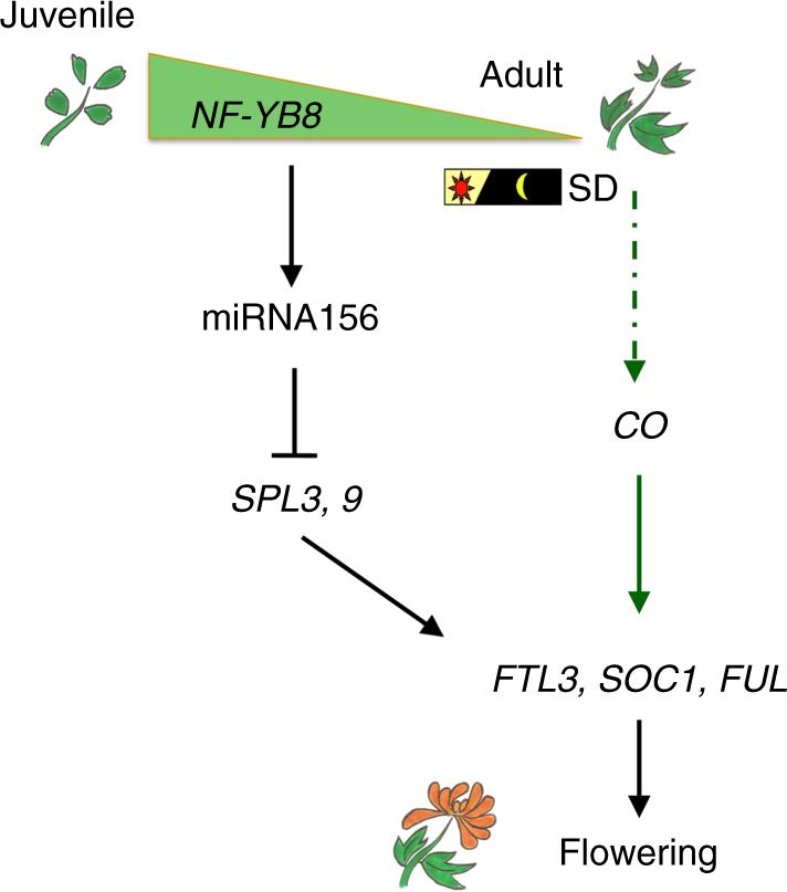 Fig. 9