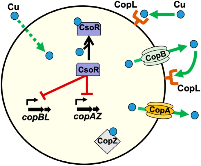 Figure 11.