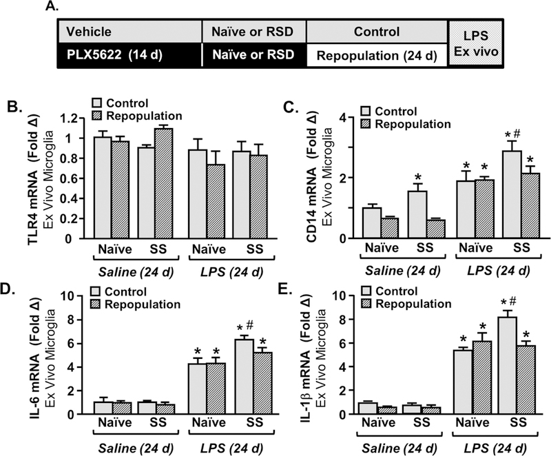 Figure 6: