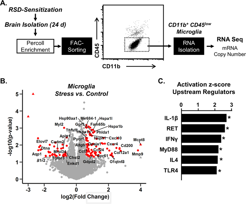 Figure 1: