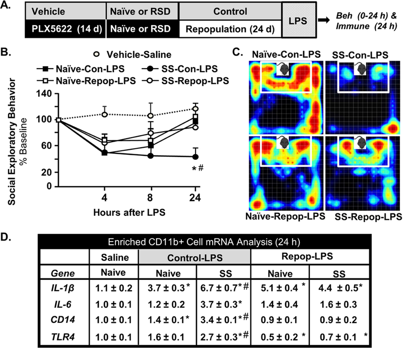 Figure 7: