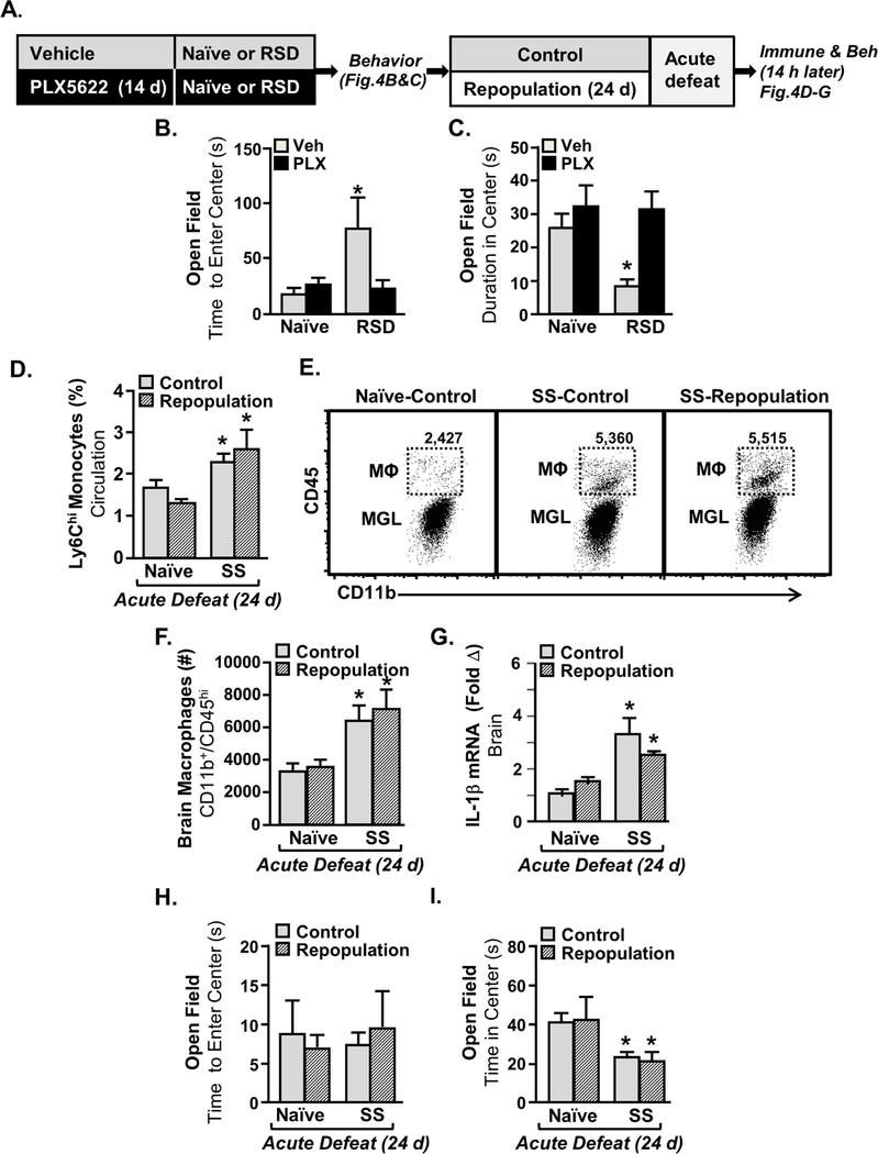 Figure 4: