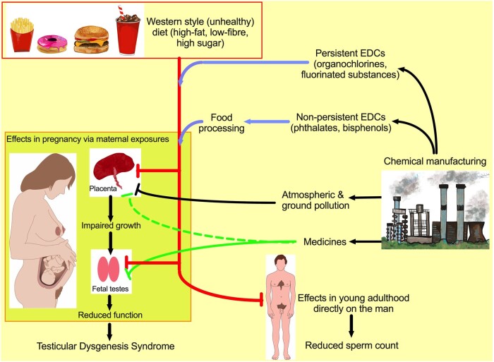 Graphical Abstract