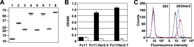 FIG. 2.