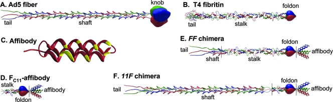 FIG. 1.