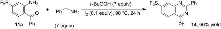 Scheme 5