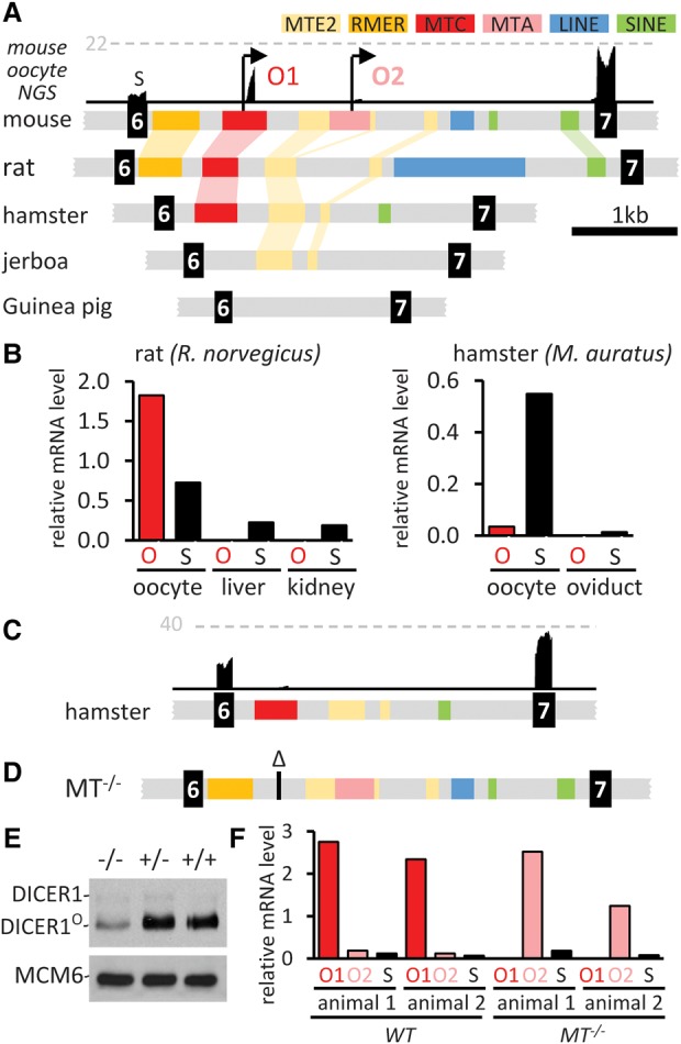 Figure 5.