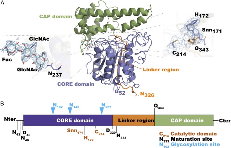 Fig. 2.