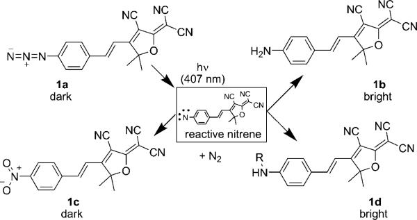 Scheme 1