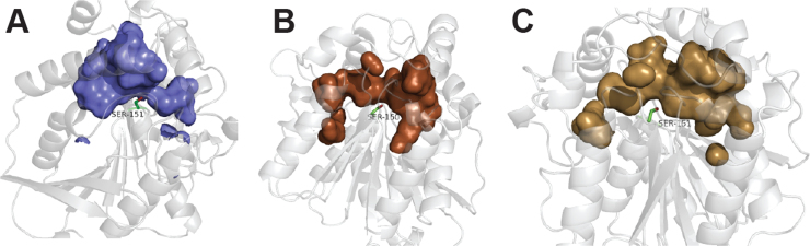 Fig. 3.