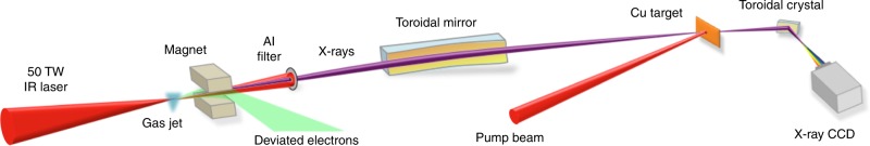 Fig. 2