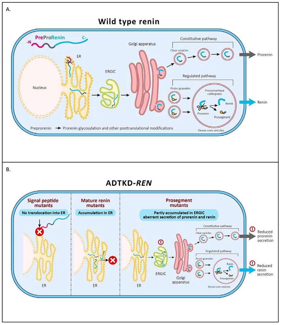 Figure 10.