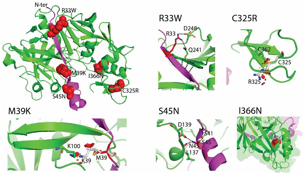 Figure 7.