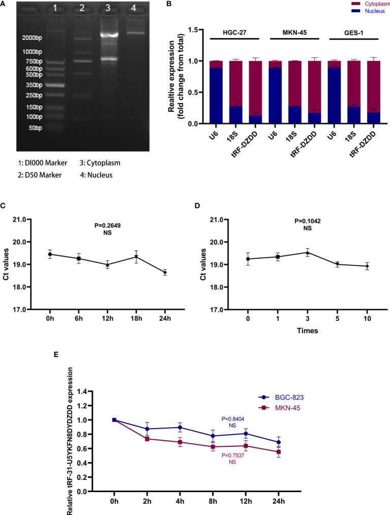 Figure 3