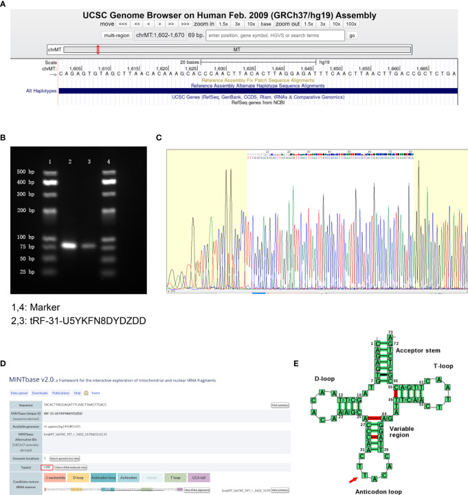 Figure 2