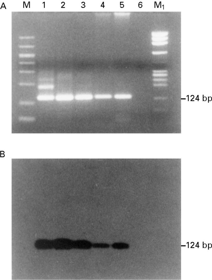 Figure 3  