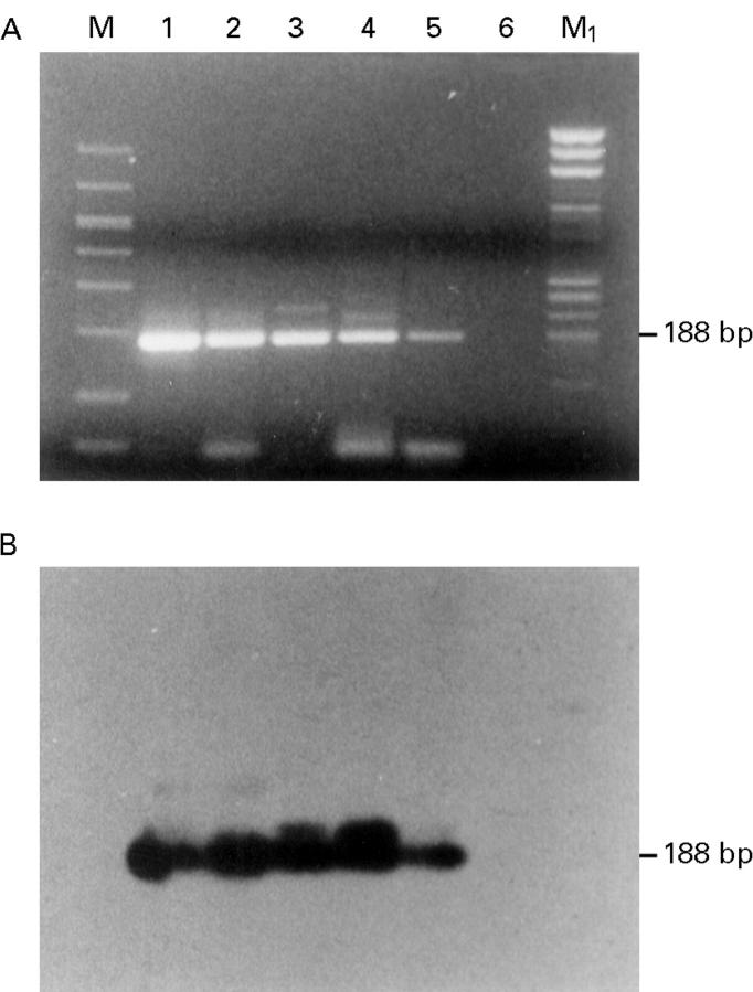 Figure 4  