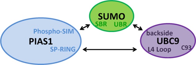 FIGURE 7.