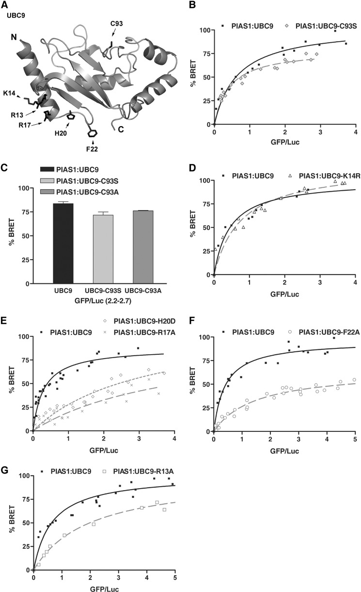 FIGURE 2.