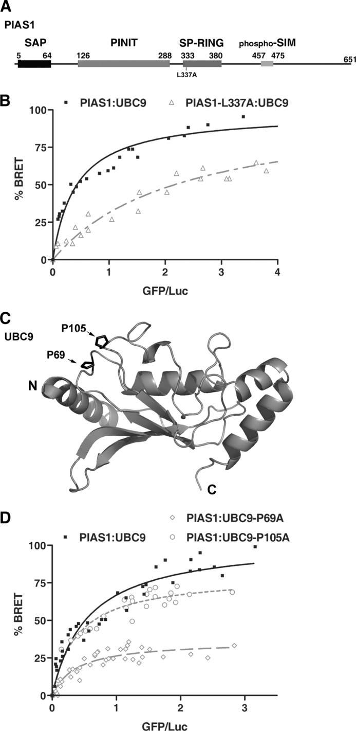 FIGURE 1.