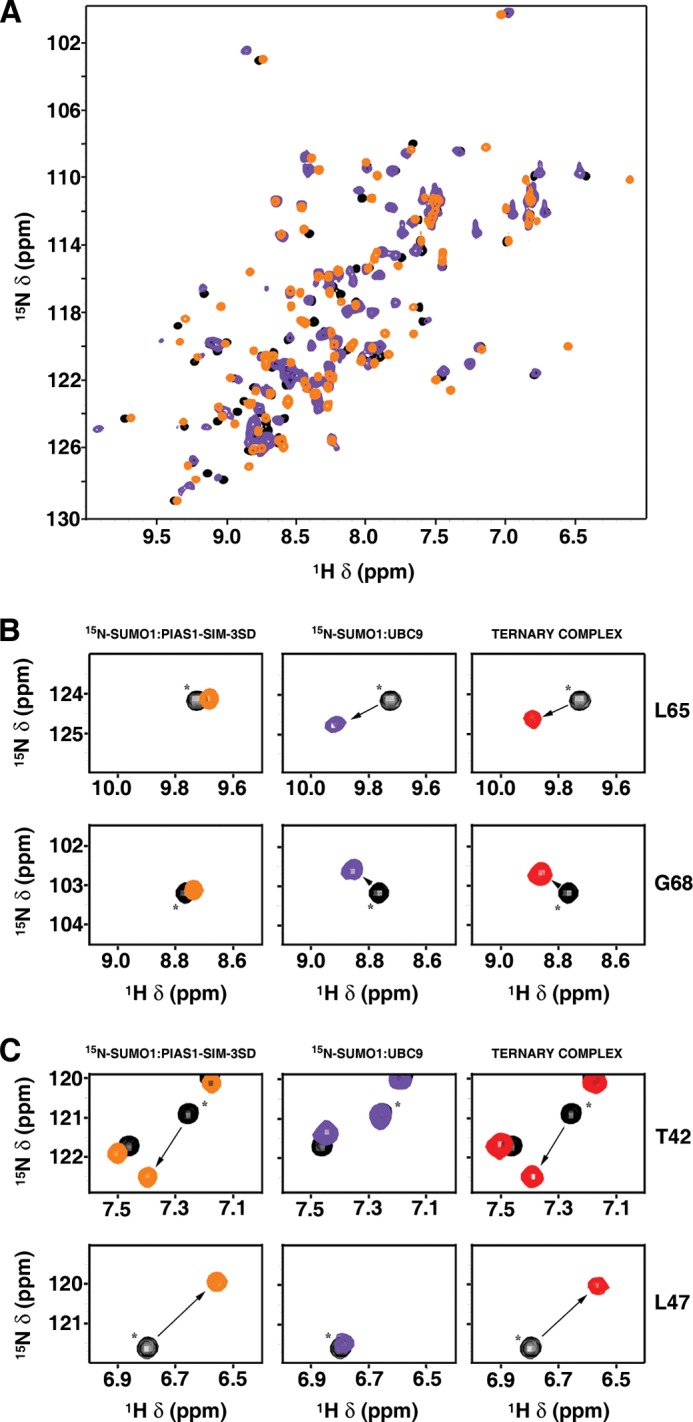 FIGURE 5.