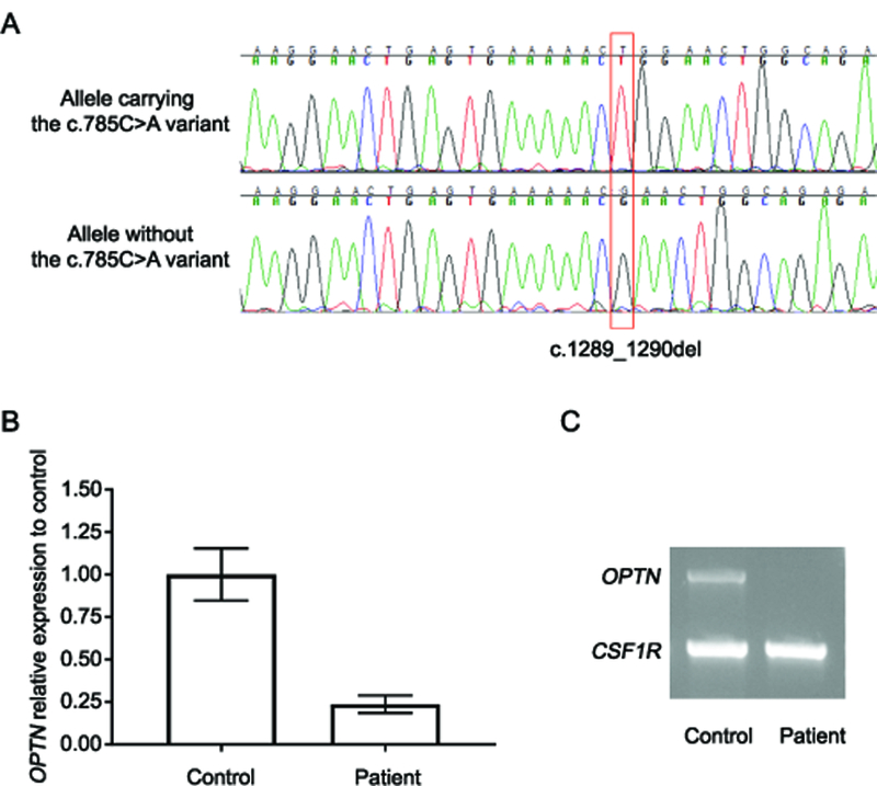 Figure 1: