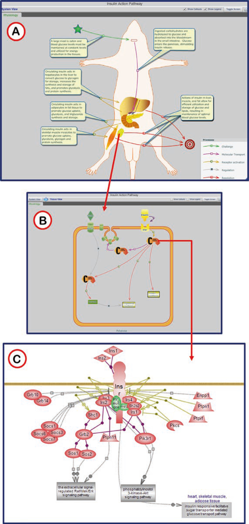 Fig. 18