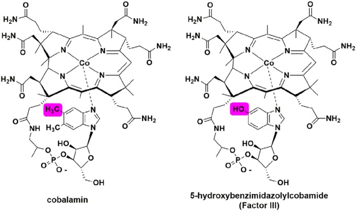 Figure 11.