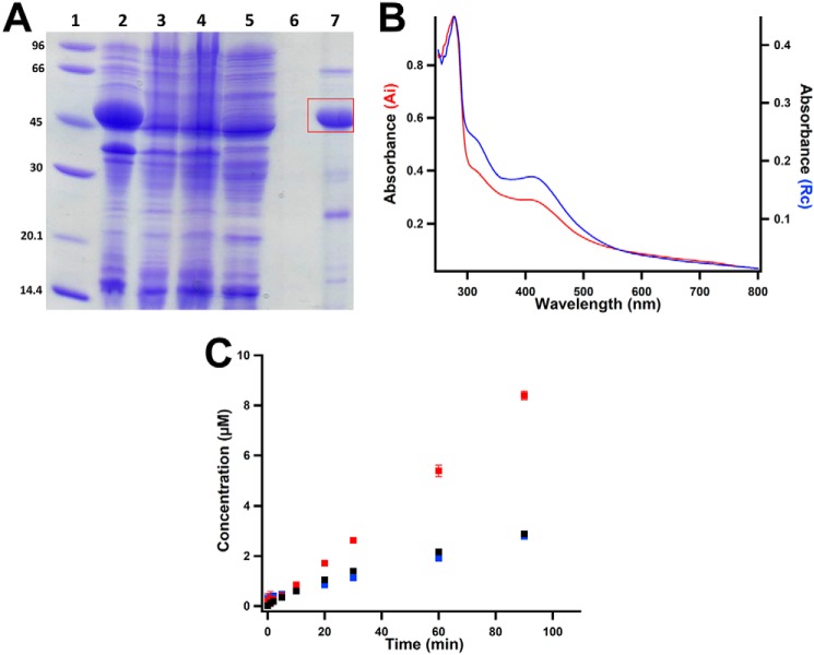 Figure 3.