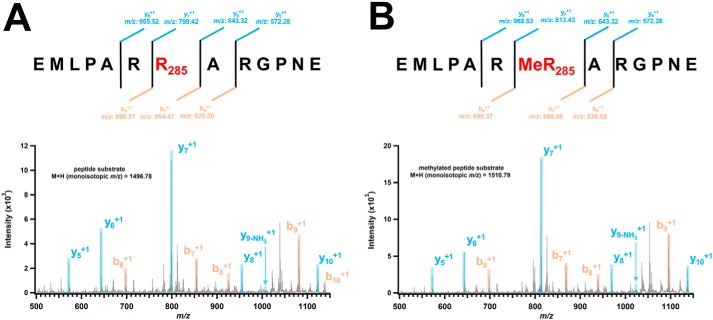 Figure 10.