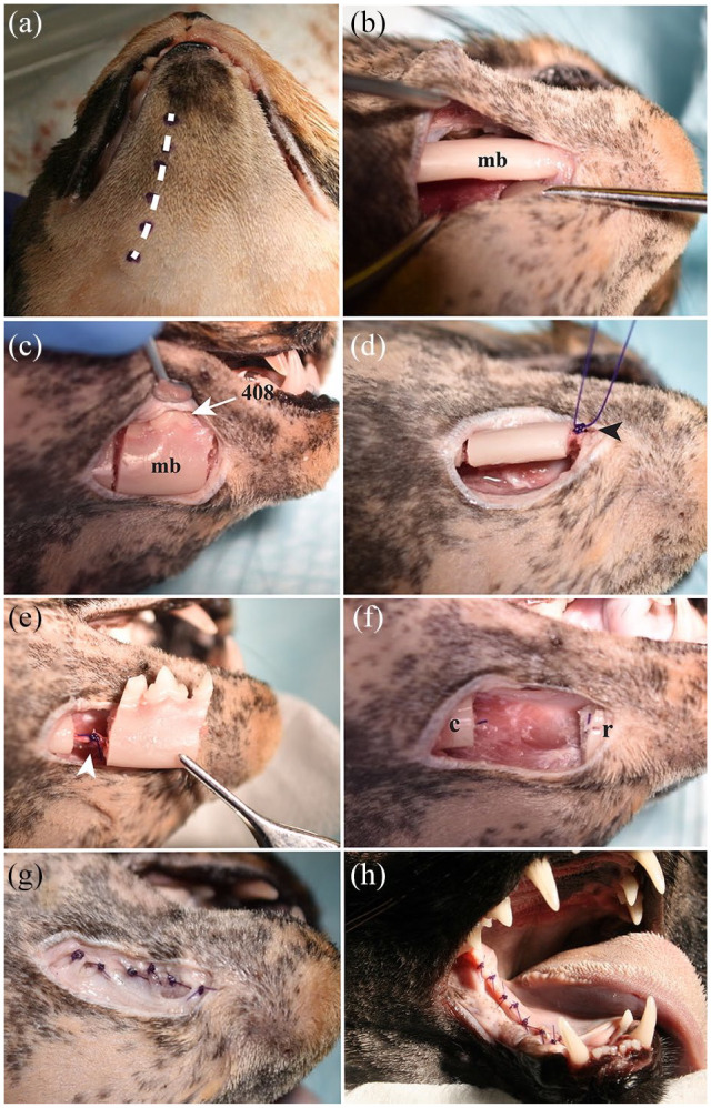 Figure 7