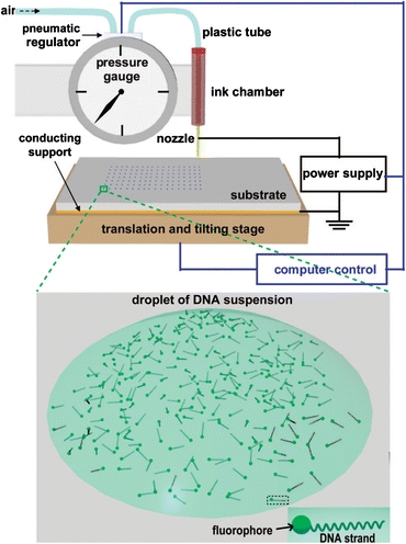 Figure 7